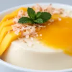 vegane Kokos-Mango Panna Cotta - featured image
